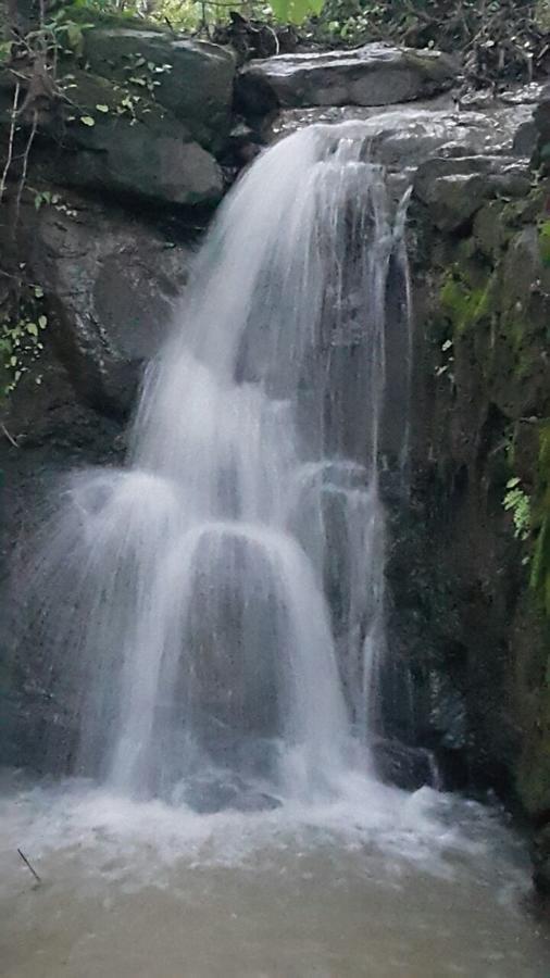 Cherilyn Monta Resort - Ratnagiri Vatul 外观 照片